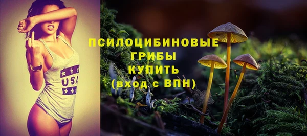 МДПВ Валдай