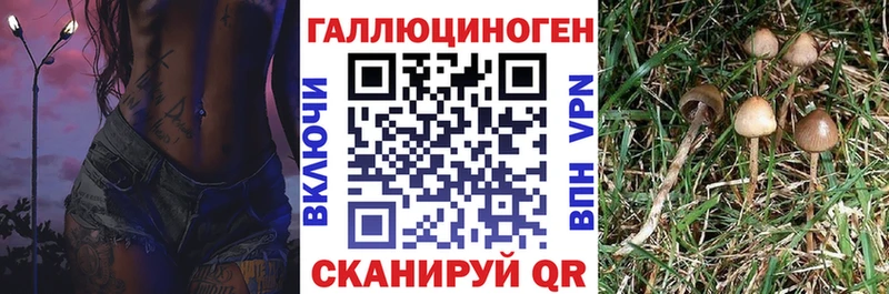 гидра онион  дарнет шоп  Советский  Галлюциногенные грибы прущие грибы 