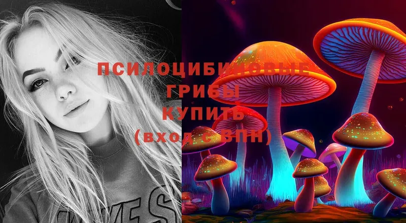 Галлюциногенные грибы Cubensis  Советский 