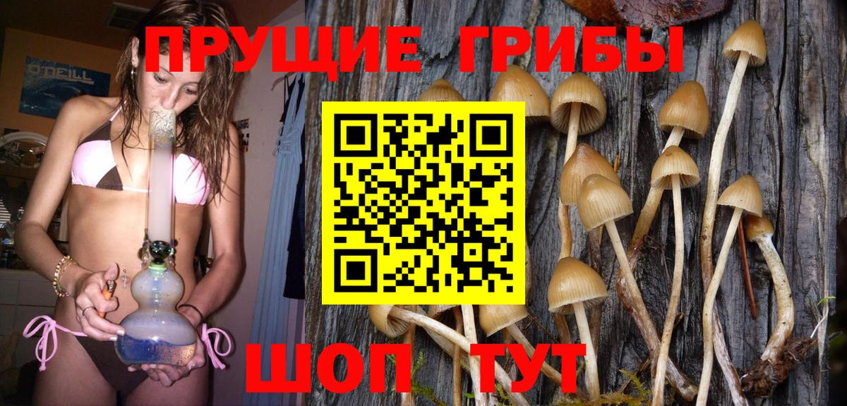 Галлюциногенные грибы MAGIC MUSHROOMS  Вход с VPN  Советский 