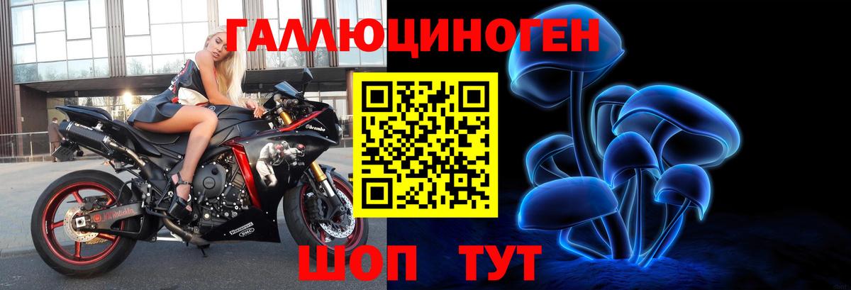 Псилоцибиновые грибы Psilocybe Советский