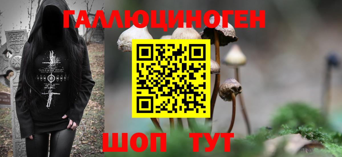 Псилоцибиновые грибы MAGIC MUSHROOMS  Советский 